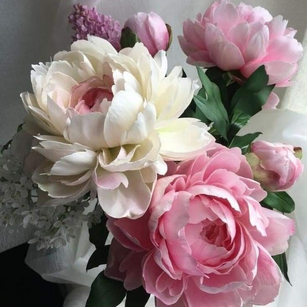 Meet your Posher, Shardels